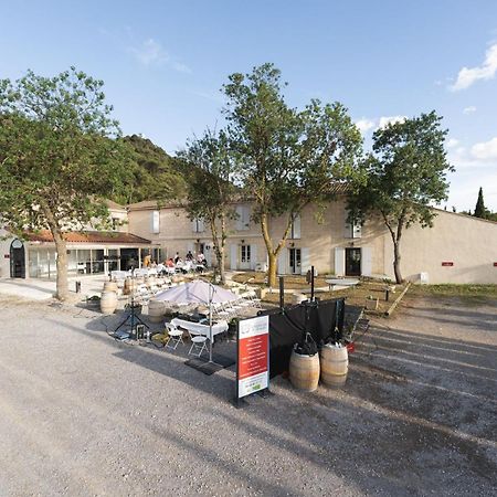 Chateau Catherine De Montgolfier B&B Et Gites Narbona Esterno foto