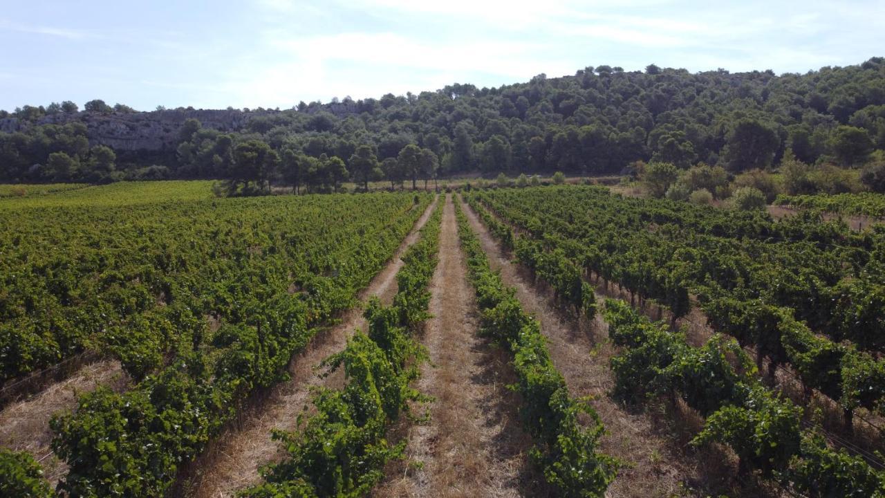 Chateau Catherine De Montgolfier B&B Et Gites Narbona Esterno foto