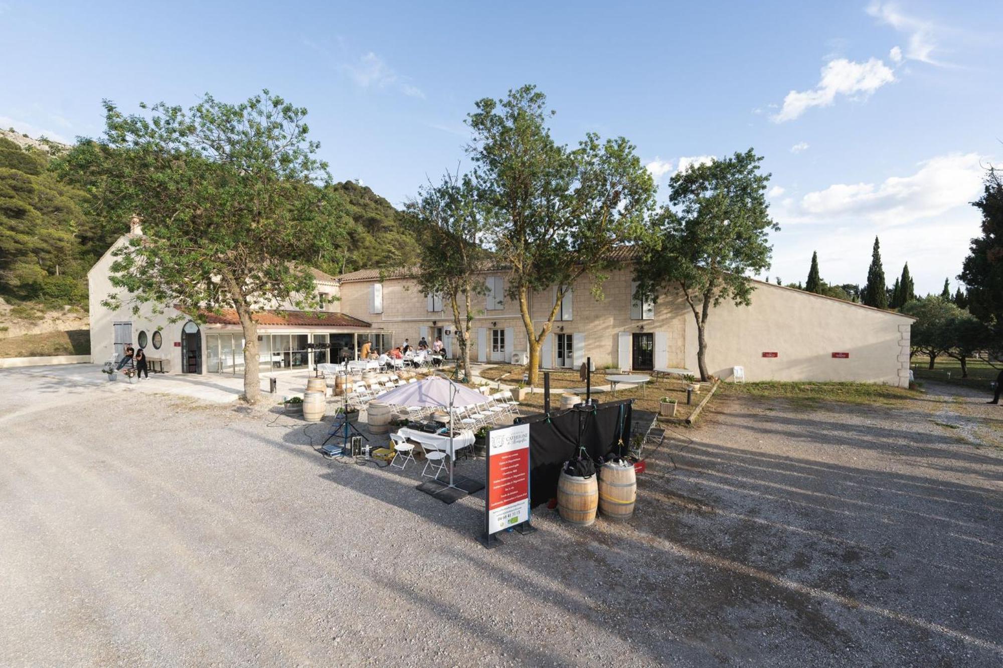 Chateau Catherine De Montgolfier B&B Et Gites Narbona Esterno foto