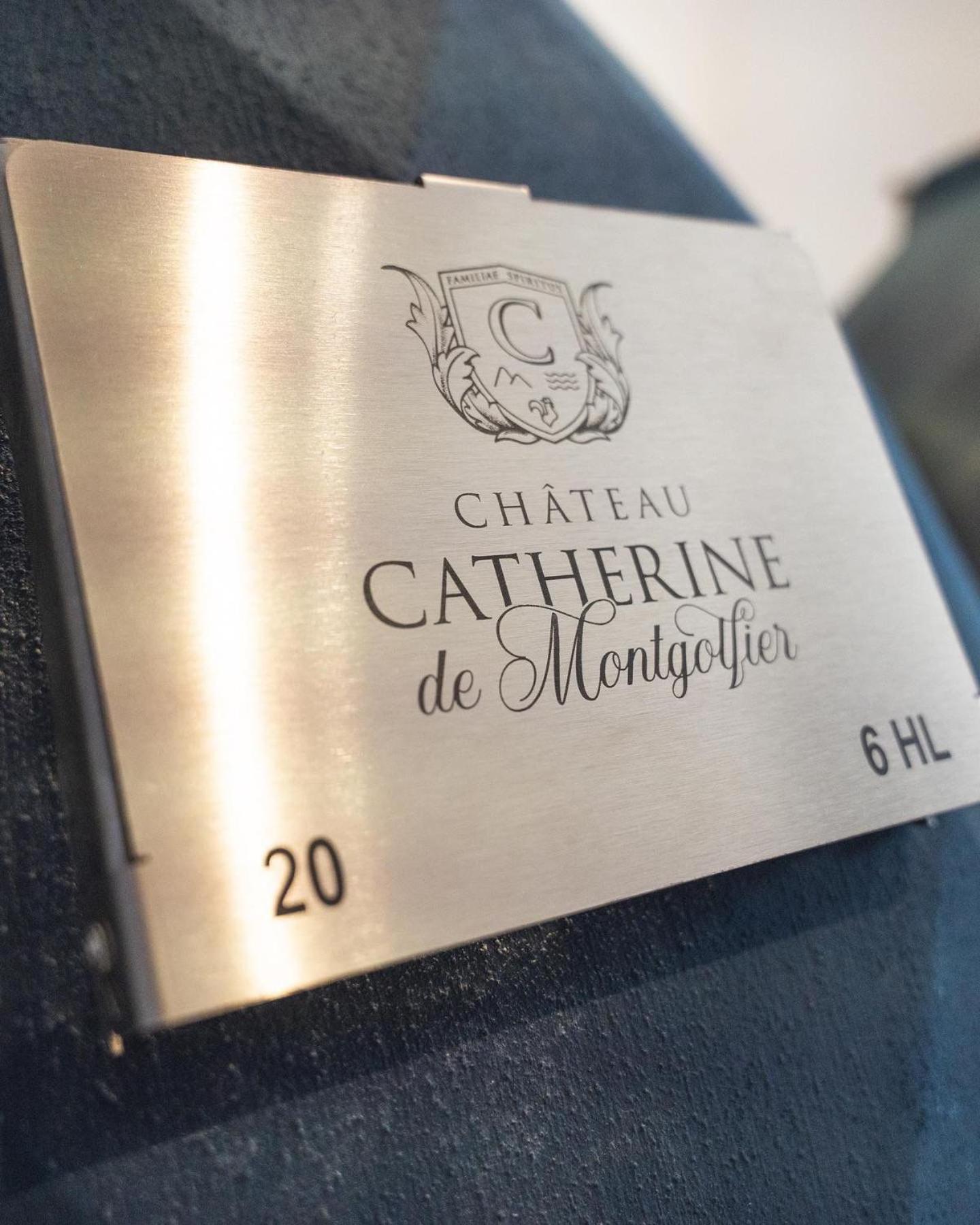 Chateau Catherine De Montgolfier B&B Et Gites Narbona Esterno foto